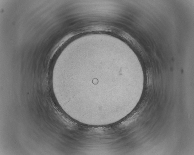 X0000063530828200601201456