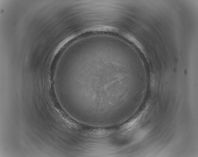 X0000063530829200601201456