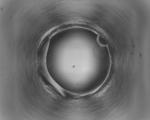 X0000063530830200601201456