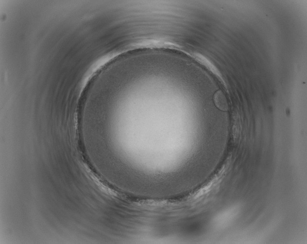 X0000063530831200601201456