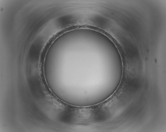 X0000063530832200601201456