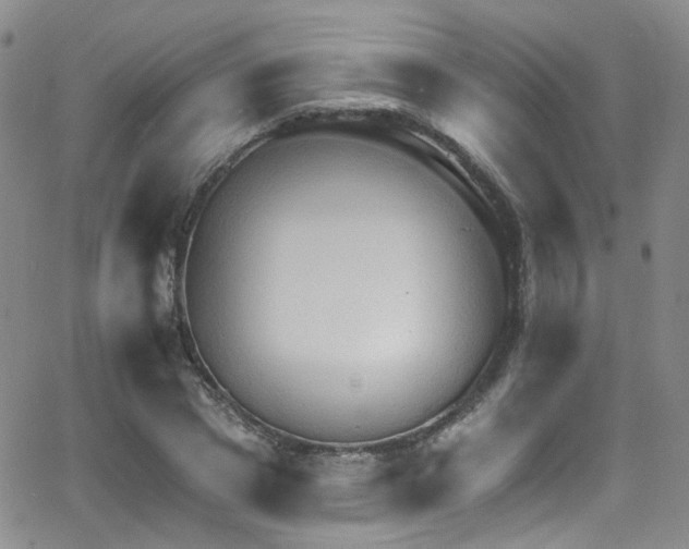 X0000063530833200601201456