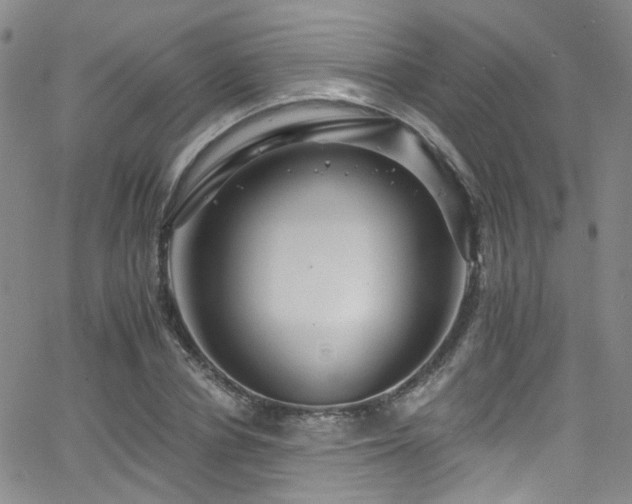 X0000063530834200601201456