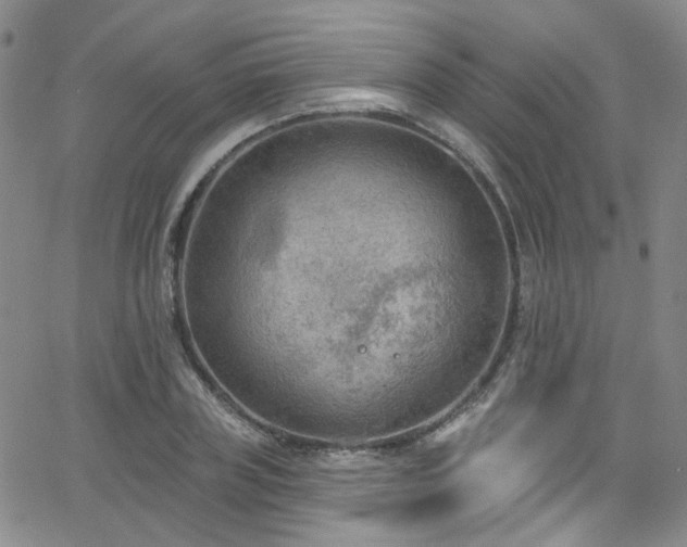 X0000063530835200601201456