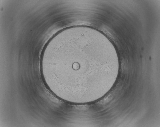 X0000063530836200601201456