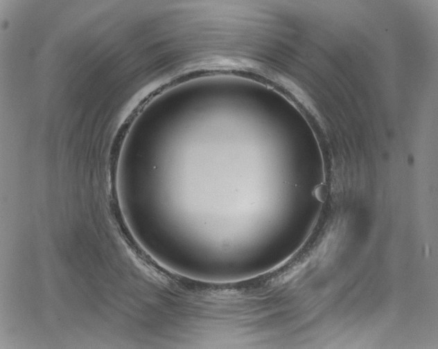 X0000063530837200601201456