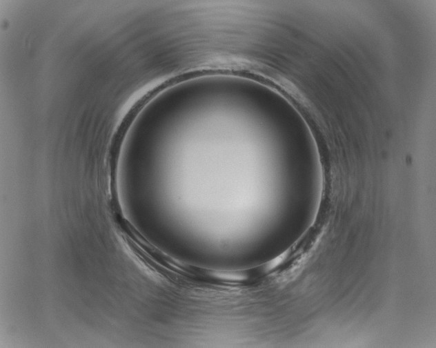 X0000063530838200601201456