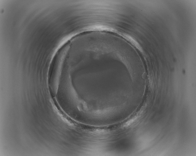 X0000063530839200601201456