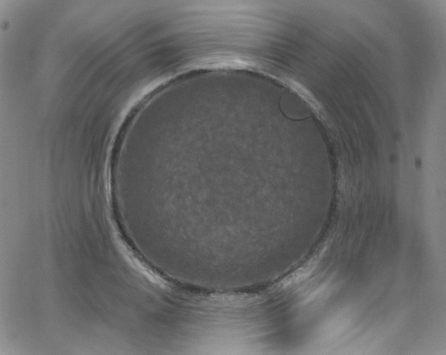 X0000063530840200601201456