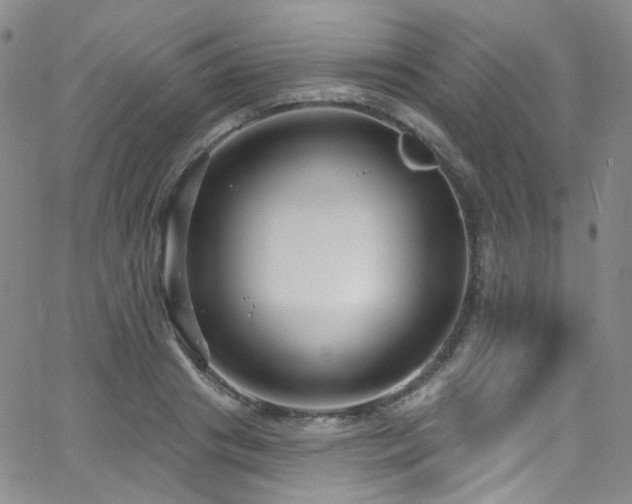 X0000063530841200601201456