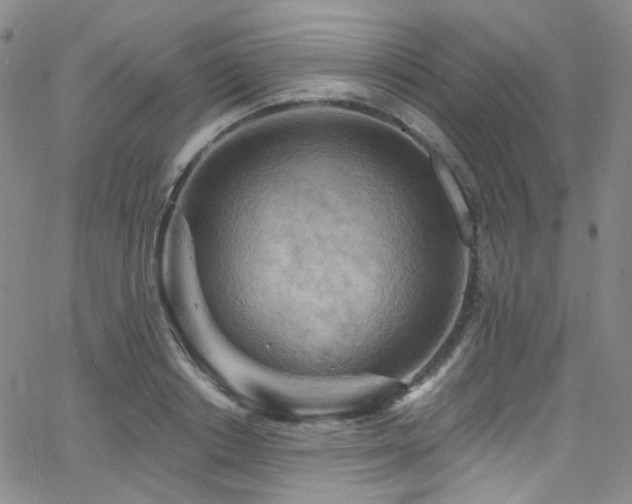 X0000063530842200601201456