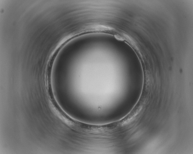 X0000063530843200601201456