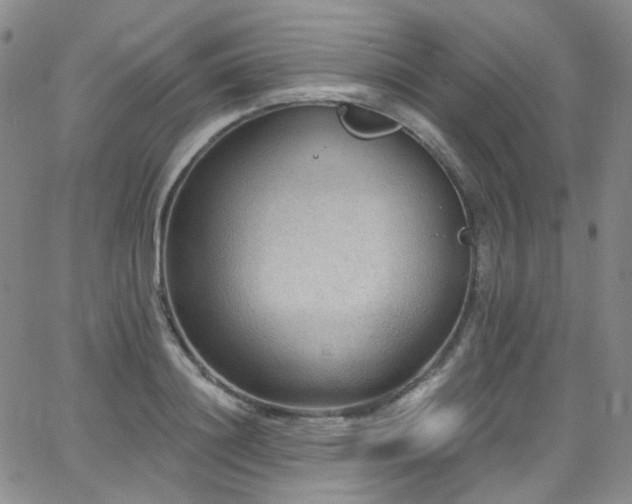 X0000063530844200601201456