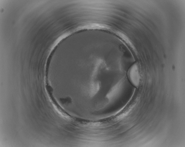 X0000063530845200601201456