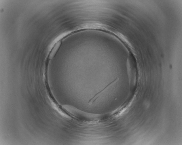 X0000063530846200601201456