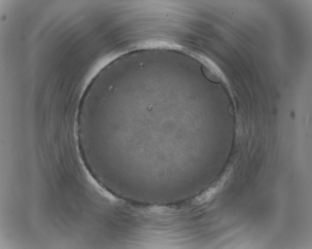 X0000063530847200601201456