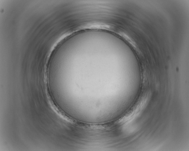 X0000063530848200601201456