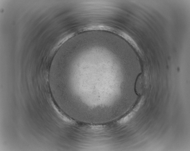 X0000063530849200601201456