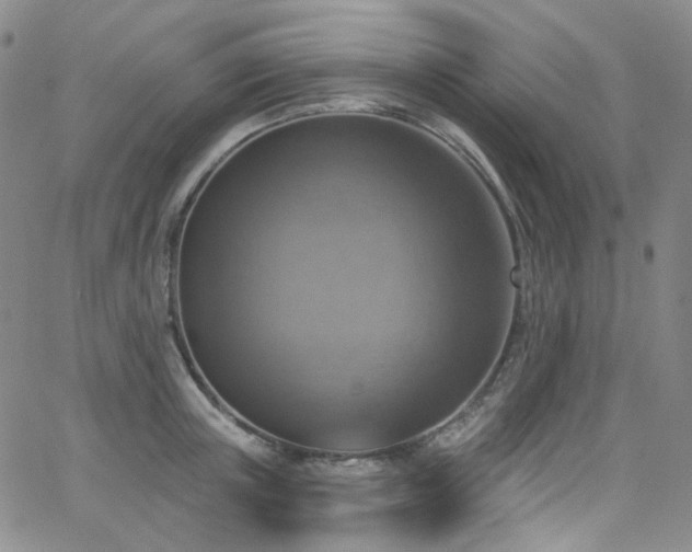 X0000063530851200601201456