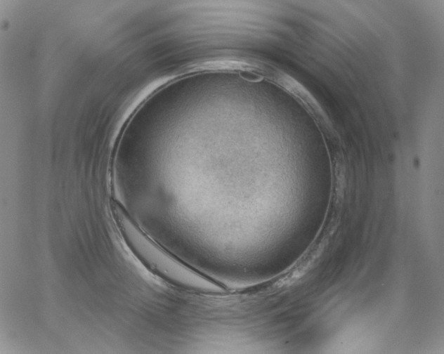 X0000063530852200601201456