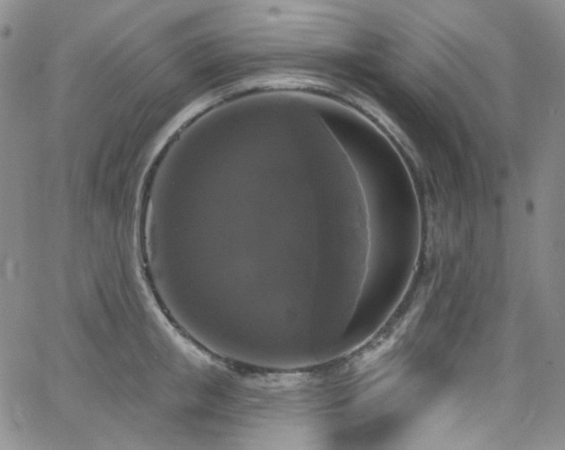 X0000063530853200601201456