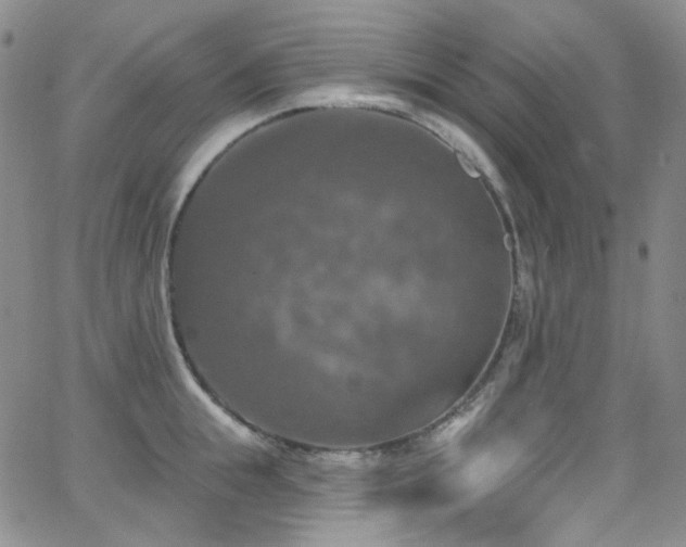 X0000063530855200601201456