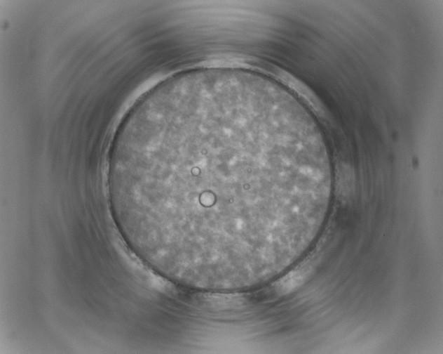 X0000063530856200601201456