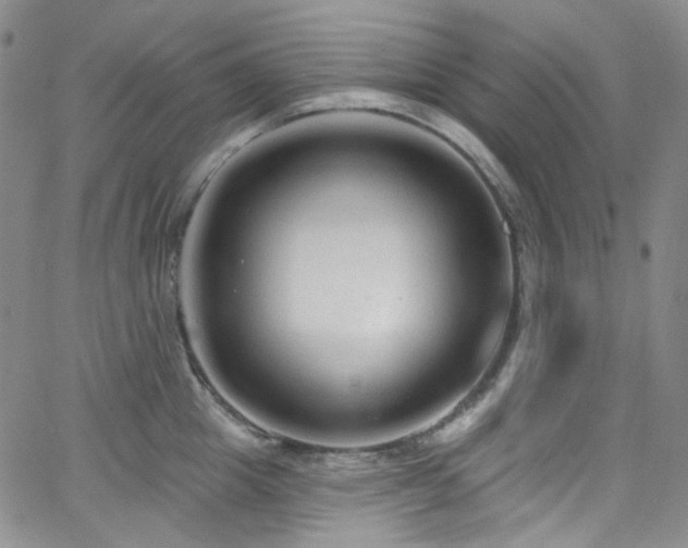 X0000063530857200601201456