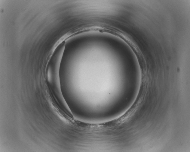 X0000063530858200601201456