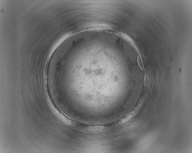 X0000063530859200601201456