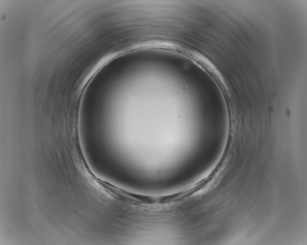 X0000063530860200601201456