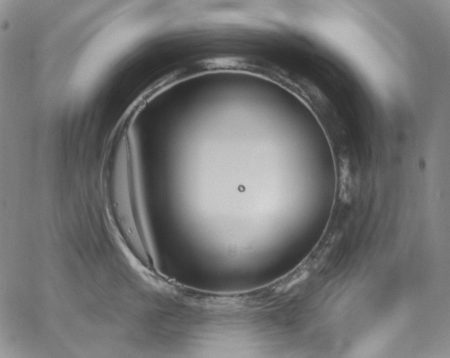 X0000063530861200601201456