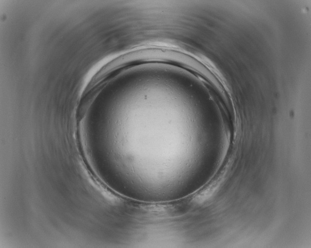 X0000063530862200601201456