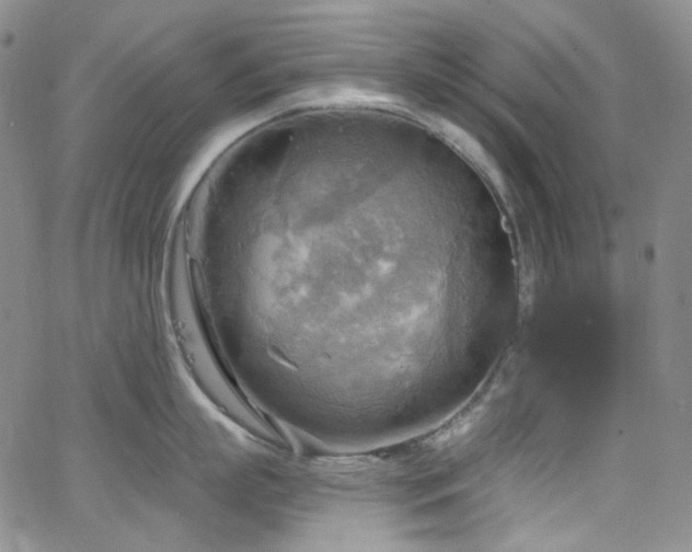 X0000063530863200601201456