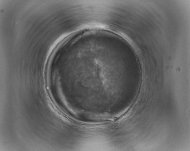 X0000063530864200601201456