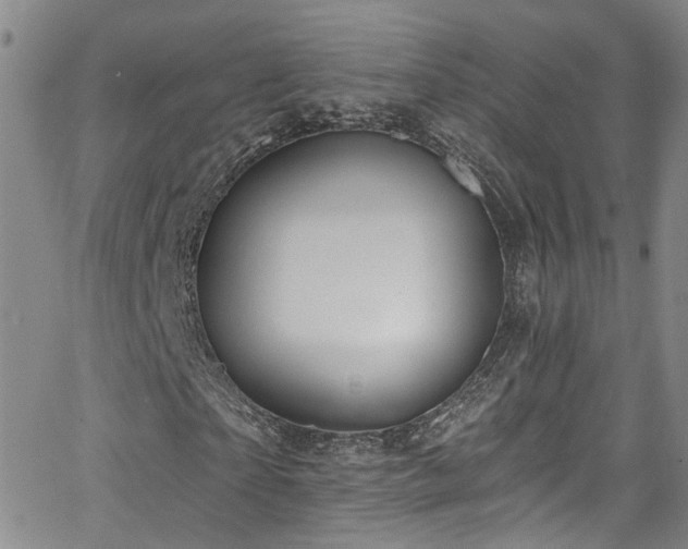 X0000063530865200601201456