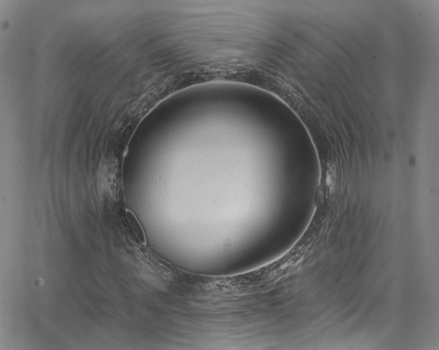 X0000063530867200601201456