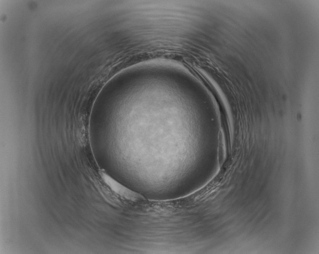 X0000063530868200601201456