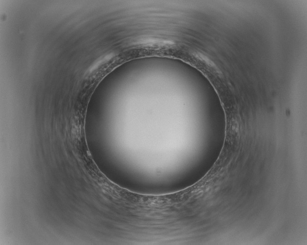 X0000063530869200601201456