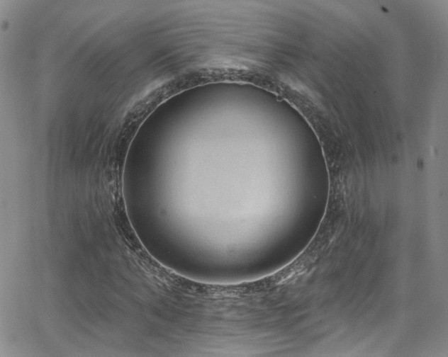 X0000063530870200601201456