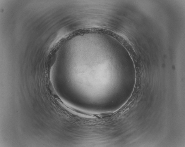 X0000063530871200601201456