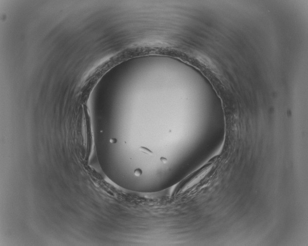 X0000063530872200601201456