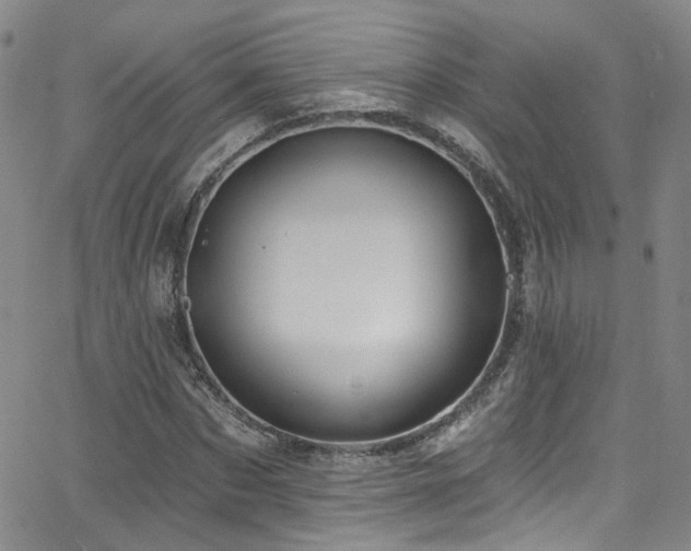 X0000063530873200601201456