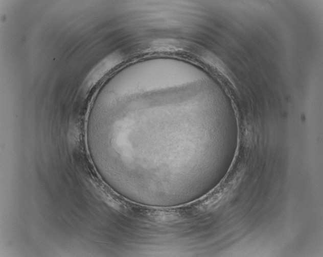 X0000063530874200601201456