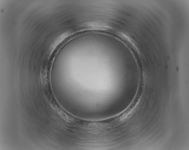 X0000063530875200601201455