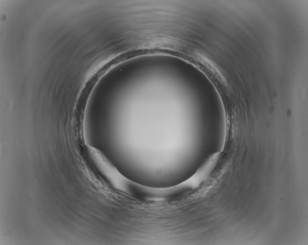 X0000063530876200601201455