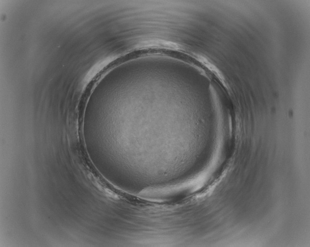 X0000063530877200601201455