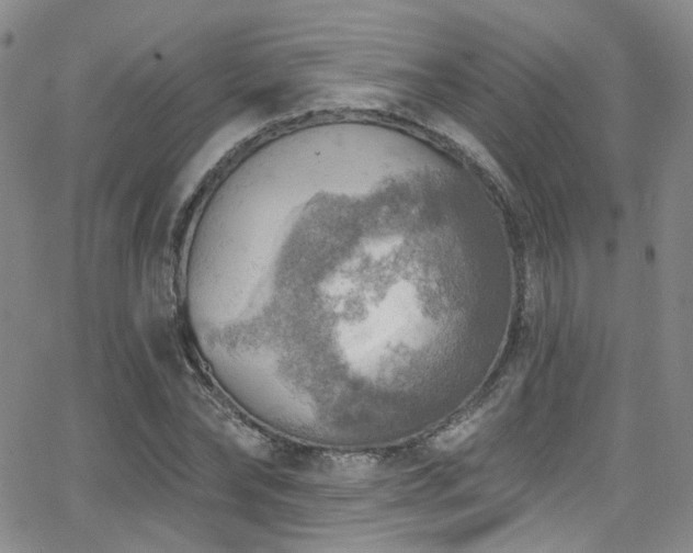 X0000063530878200601201455