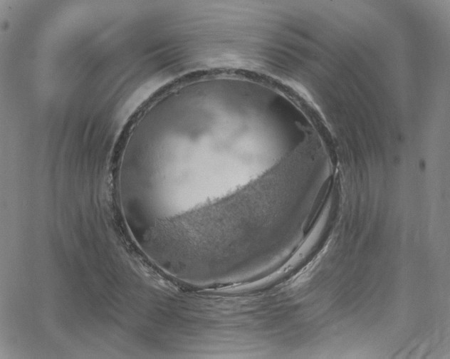 X0000063530879200601201455