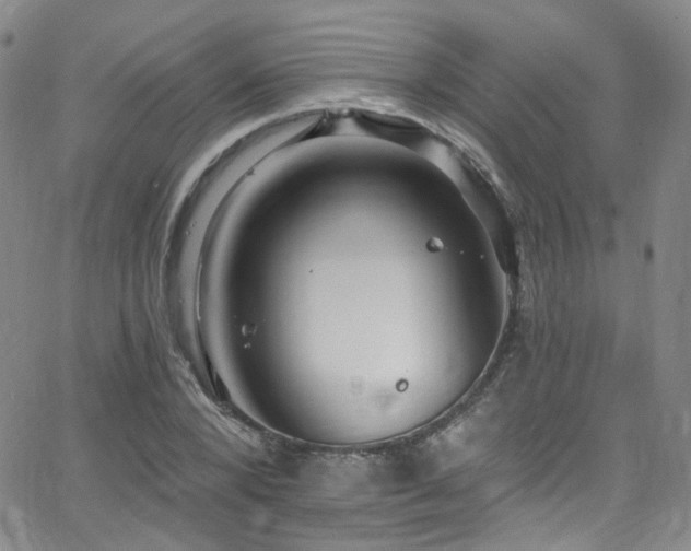 X0000063530880200601201455